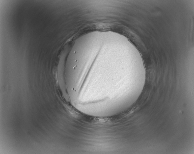 X0000068830329200606021649