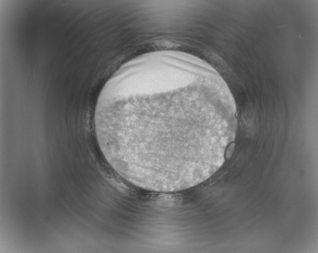 X0000068830330200606021649