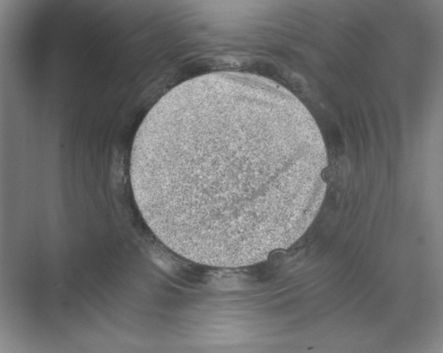 X0000068830331200606021649