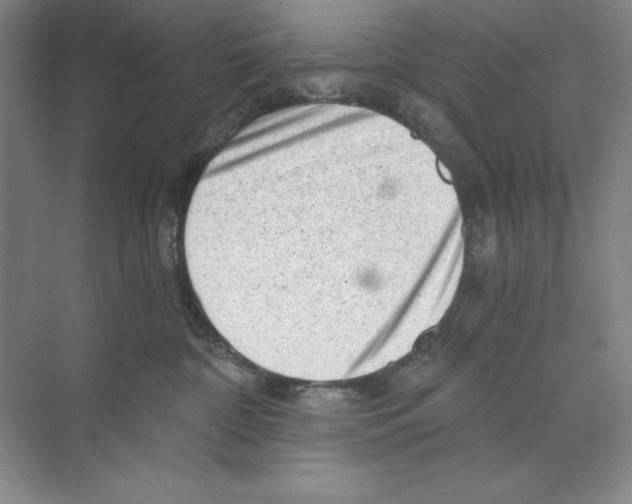 X0000068830332200606021649