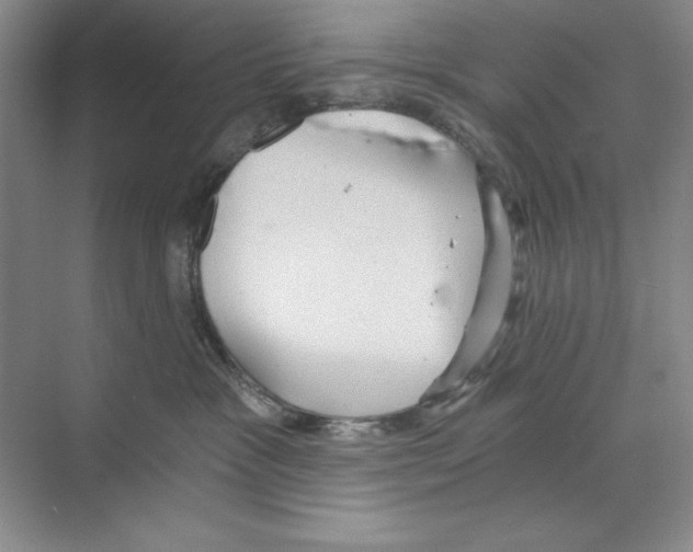 X0000068830333200606021649