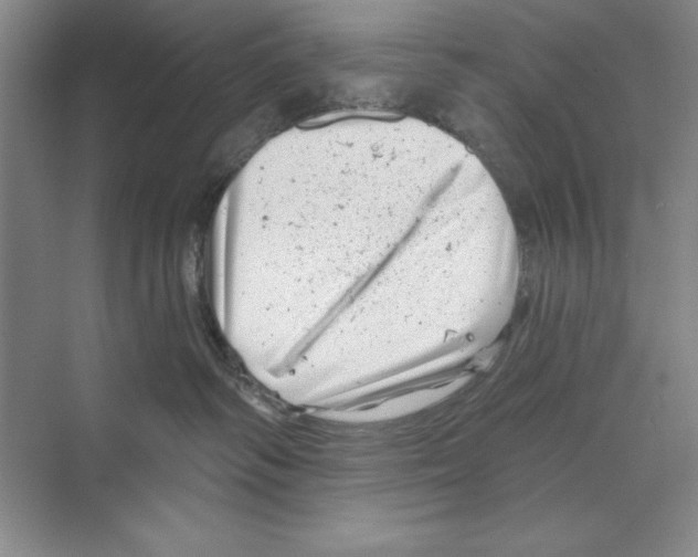 X0000068830334200606021649