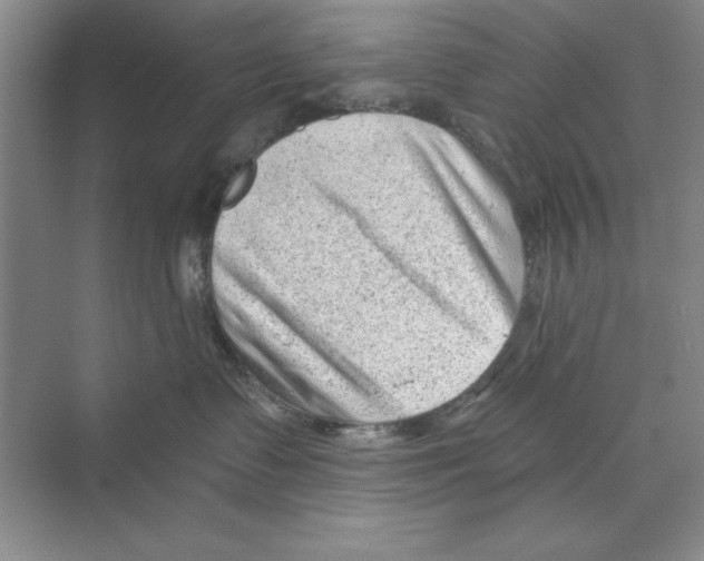 X0000068830335200606021649