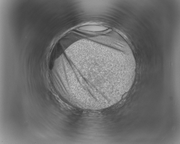 X0000068830337200606021648