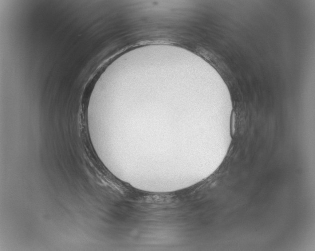 X0000068830338200606021648