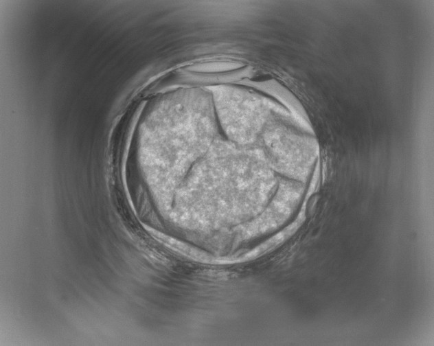 X0000068830339200606021648