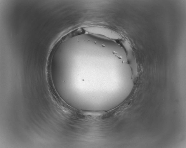 X0000068830340200606021648