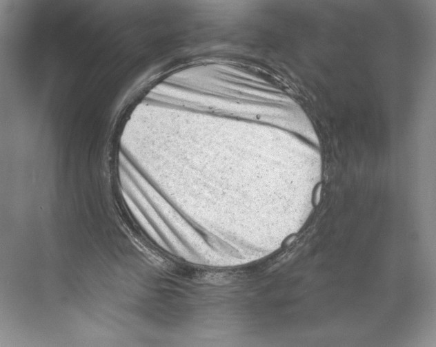 X0000068830341200606021648