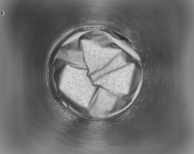 X0000068830342200606021648