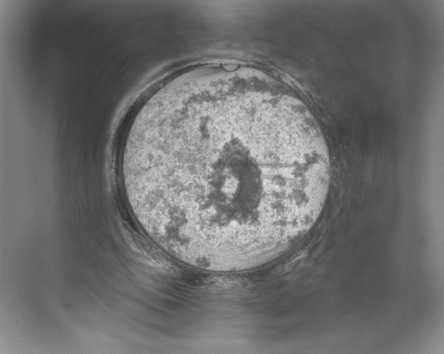 X0000068830343200606021648