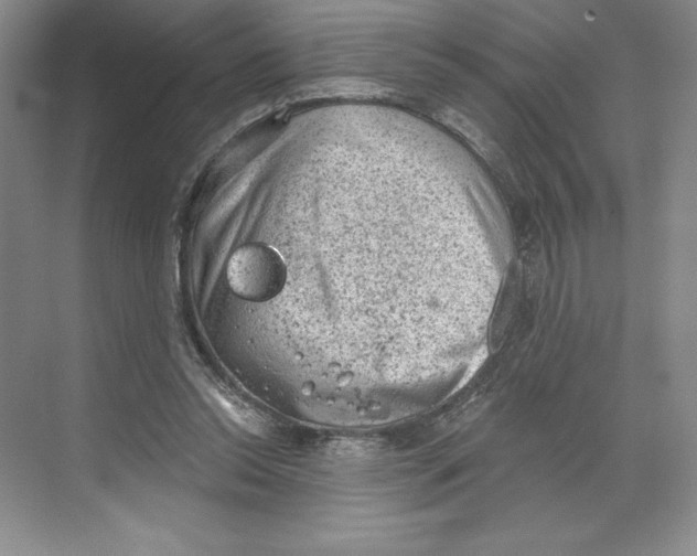 X0000068830350200606021648