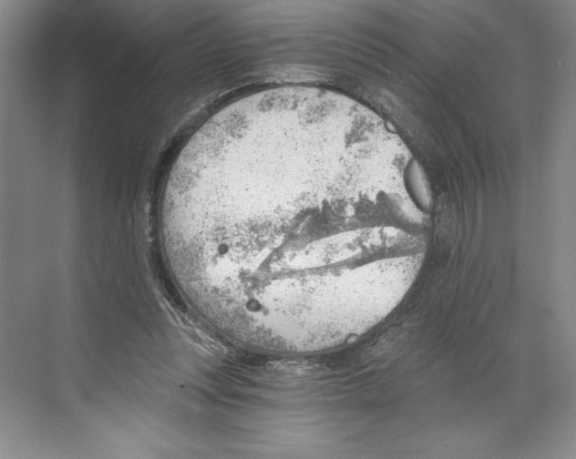 X0000068830351200606021648