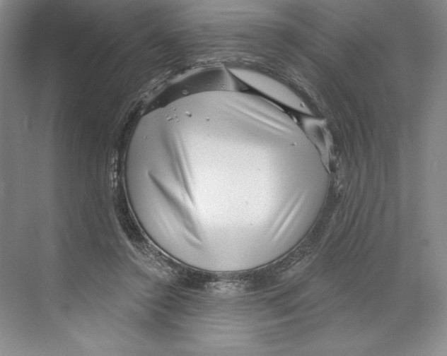 X0000068830356200606021649