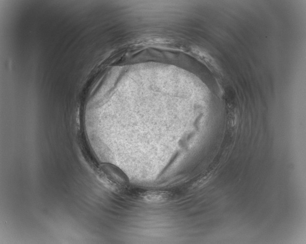 X0000068830358200606021649