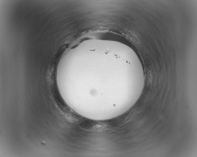 X0000068830364200606021649