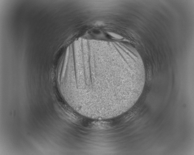 X0000068830367200606021649