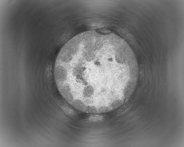 X0000068830369200606021649