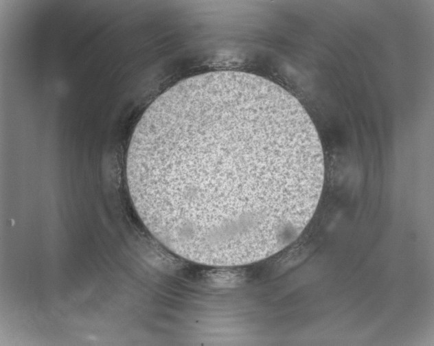 X0000068830370200606021649