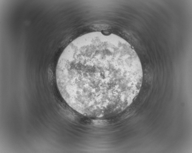 X0000068830371200606021649