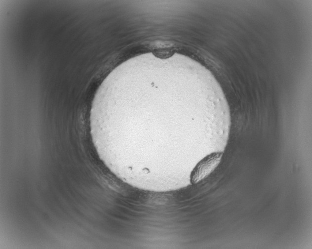 X0000068830373200606021649