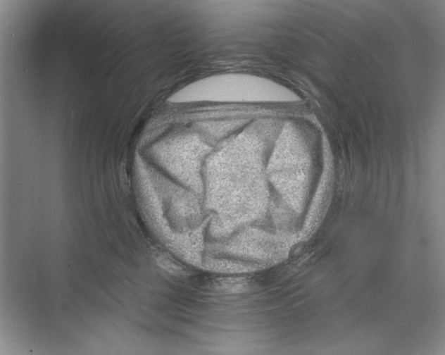 X0000068830377200606021649