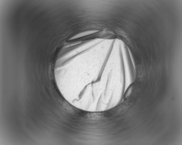 X0000068830378200606021649