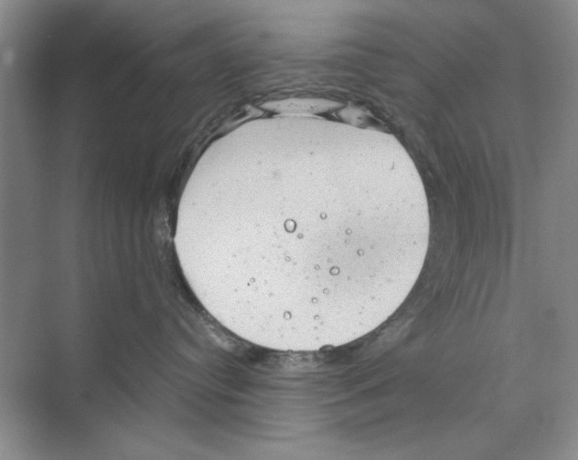 X0000068830384200606021649