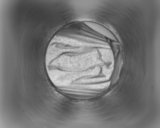 X0000068830385200606021648