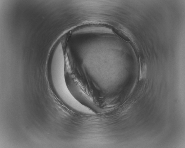 X0000068830387200606021648