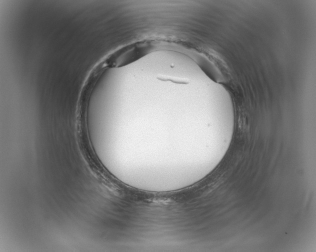 X0000068830388200606021648