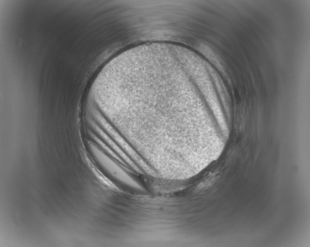 X0000068830389200606021648