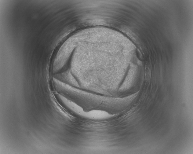 X0000068830390200606021648