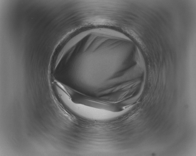 X0000068830391200606021648