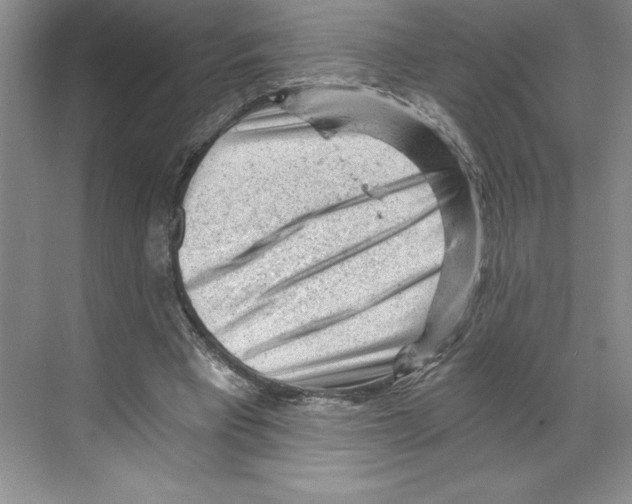 X0000068830393200606021648