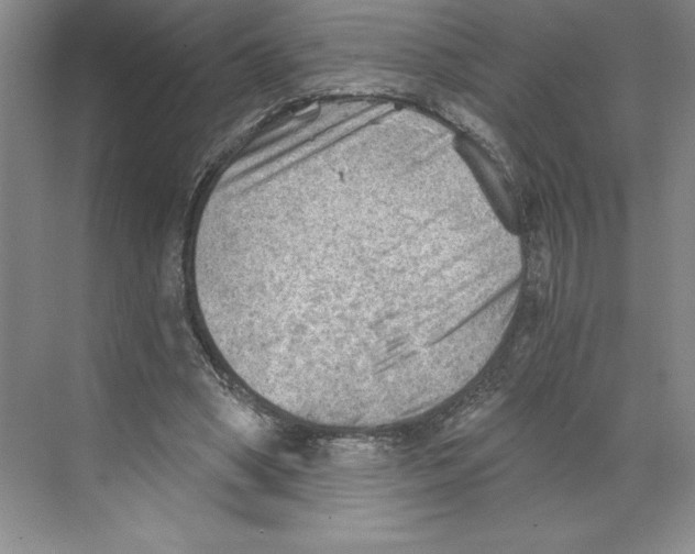 X0000068830394200606021648