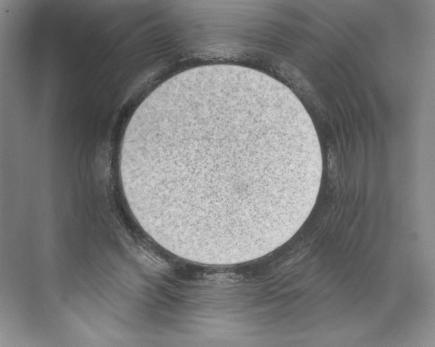 X0000068830396200606021648