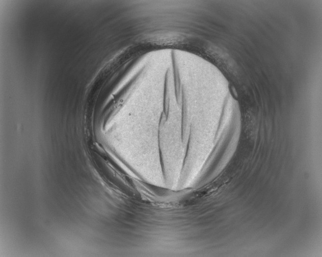 X0000068830400200606021648