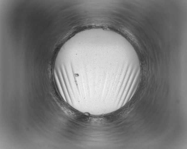 X0000068830401200606021648