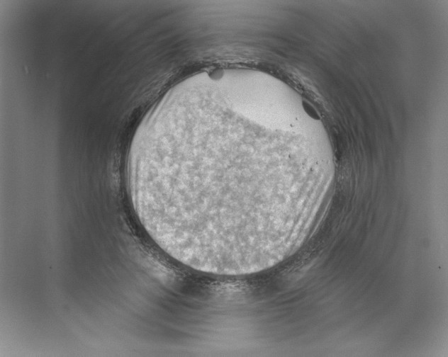 X0000068830402200606021648