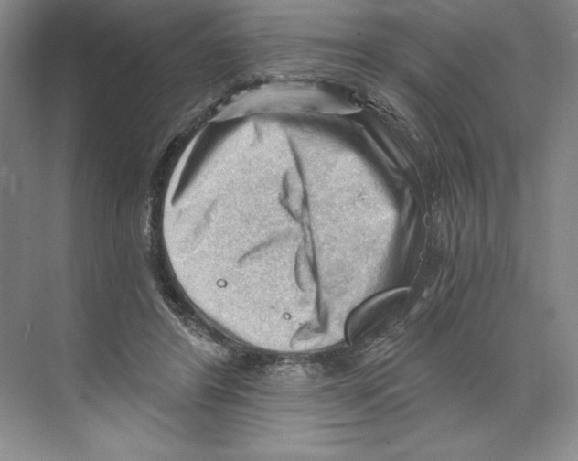 X0000068830404200606021648