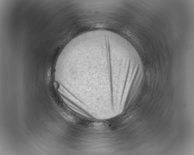 X0000068830406200606021648