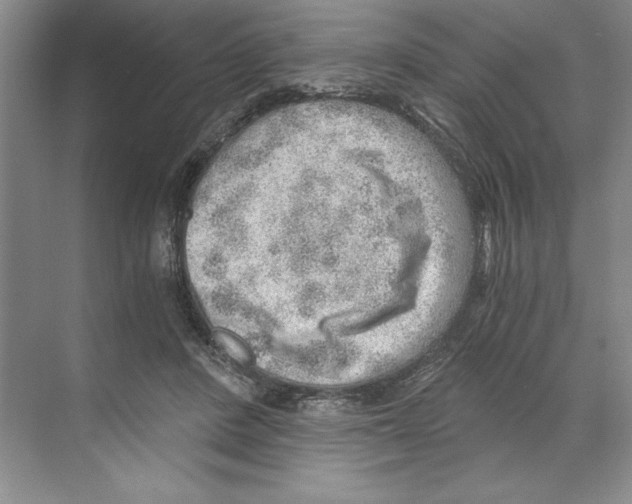 X0000068830408200606021648