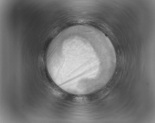 X0000068830415200606021648