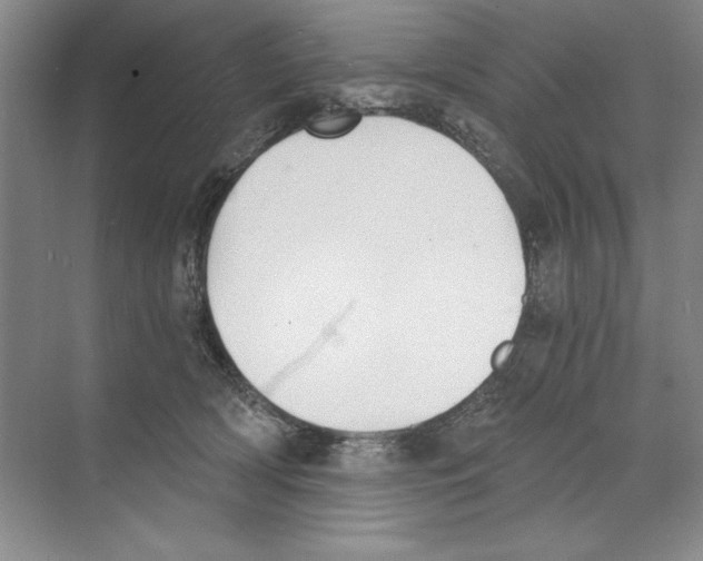 X0000068830418200606021648