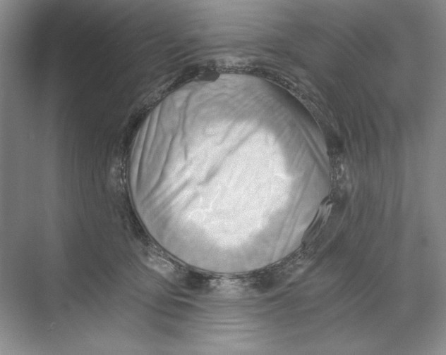 X0000068830419200606021648