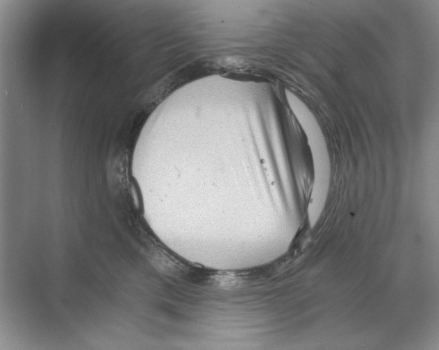 X0000068830425200606021648