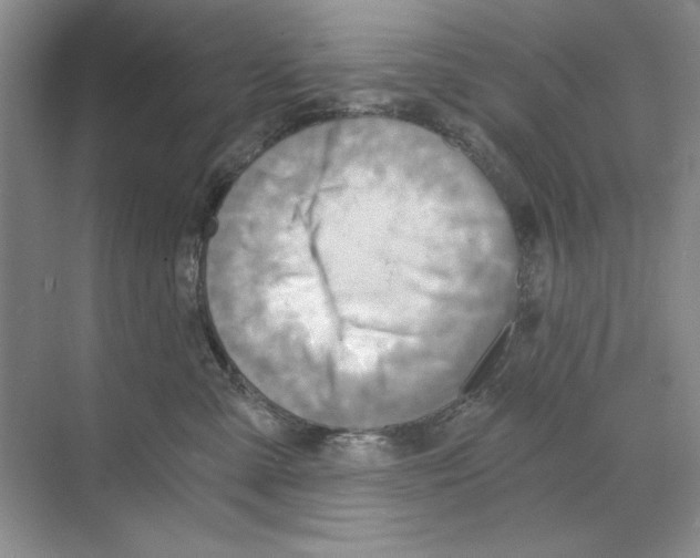 X0000068830427200606021648