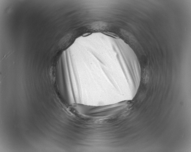 X0000068830428200606021648