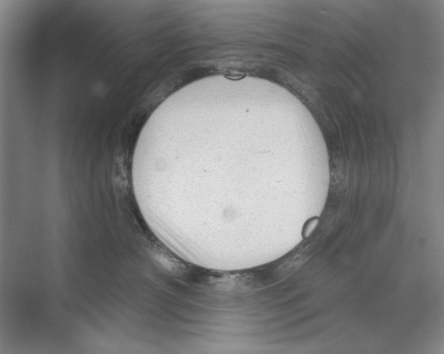 X0000068830430200606021647