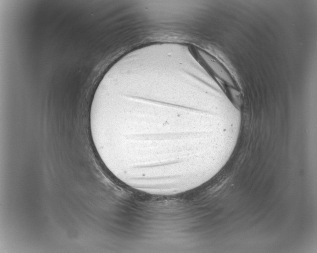 X0000068830433200606021647